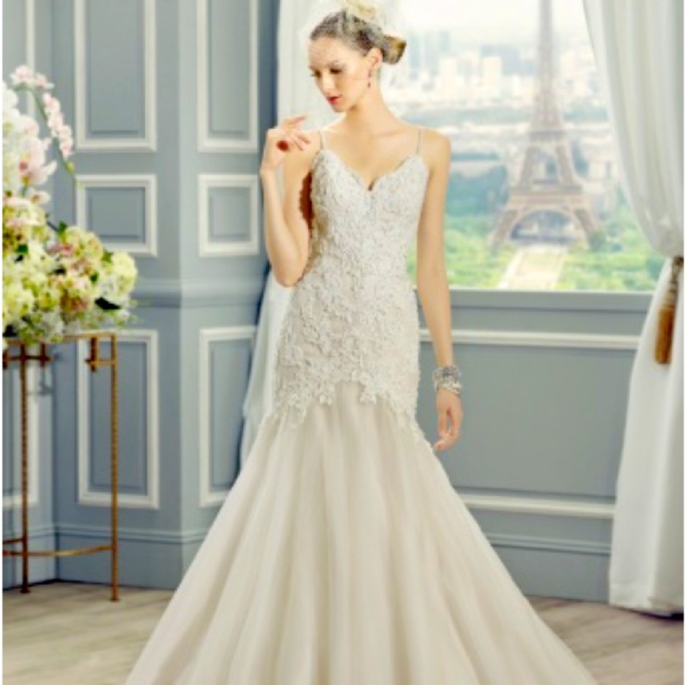 Moonlight Bridal Fit and Flare